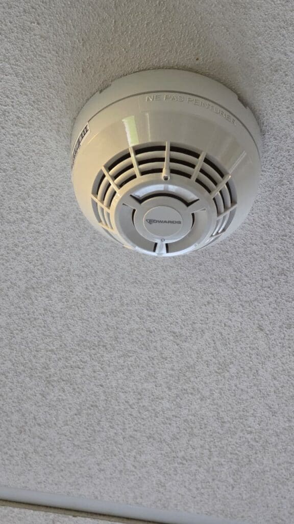 WhatsApp Image 2026 04 07 at 16.40.44